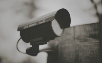 On the run and under surveillance